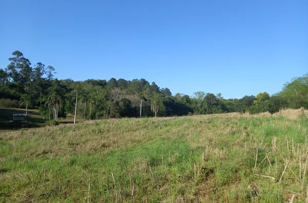 CHÁCARA COM 95% PARA PLANTIO. APOSTE NO FUTURO