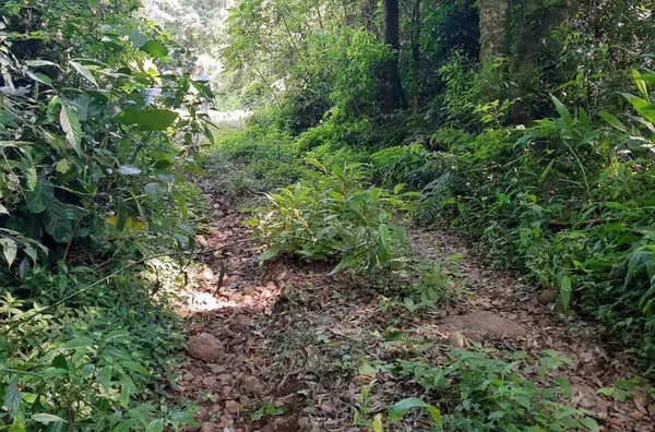 4,5ha COM ESPAÇO PARA LAZER E INVESTIMENTOS EM CABANAS