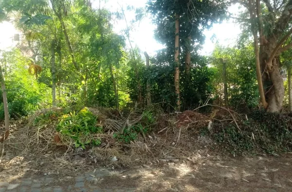 TERRENO EM ÁREA CENTRAL, BEM LOCALIZADO E DE FÁCIL ACESSO