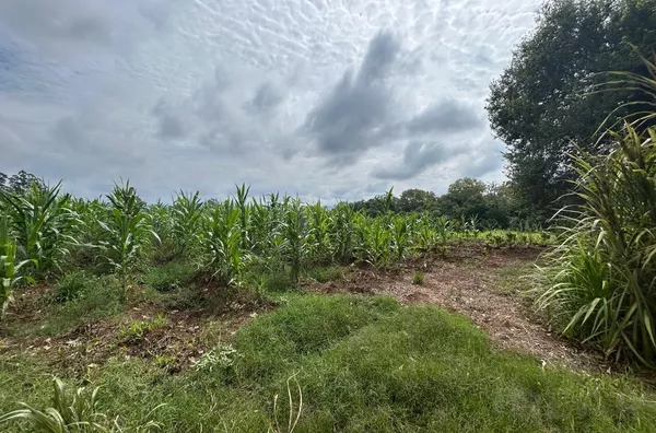 ÁREA DE 1,7ha COM DUAS OPÇÕES, COM CASA OU SEM CASA
