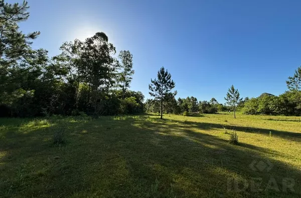 NADA MELHOR DO QUE ESTÁR EM MEIO A NATUREZA. A CRIATIVIDADE É SUA