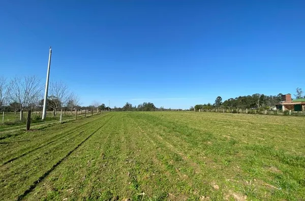 MUITA ÁREA PARA PLANTAR, AÇUDE E ÁREA VERDE PARA O LAZER DA FAMÍLIA