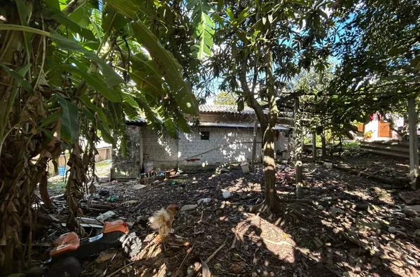 INVISTA AGORA, COLHA OS LUCROS AMANHÃ!