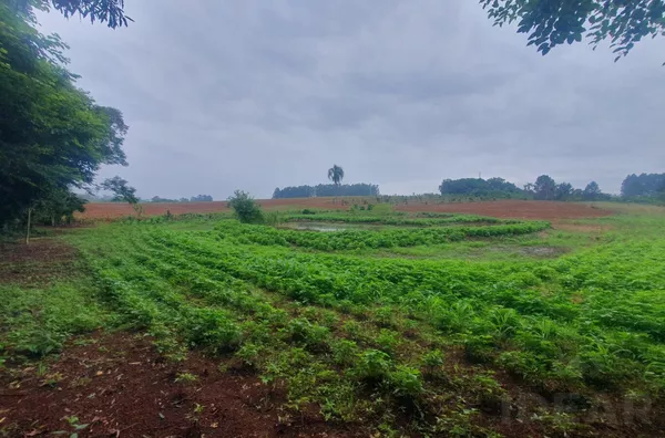 EXCELENTE LOCALIZAÇÃO EM REGIÃO DE MUITA TRANQUILIDADE