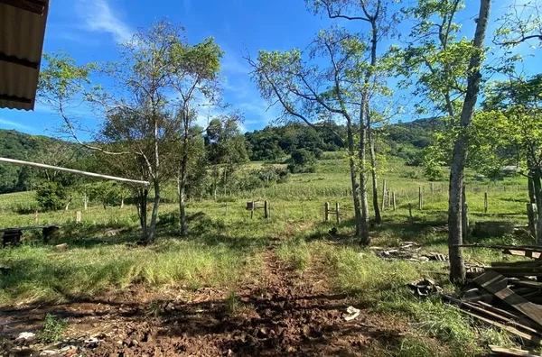 TERRA COM 75% DE ÁREA DE PLANTIO E ESTRUTURA PARA O CULTIVO DO FUMO