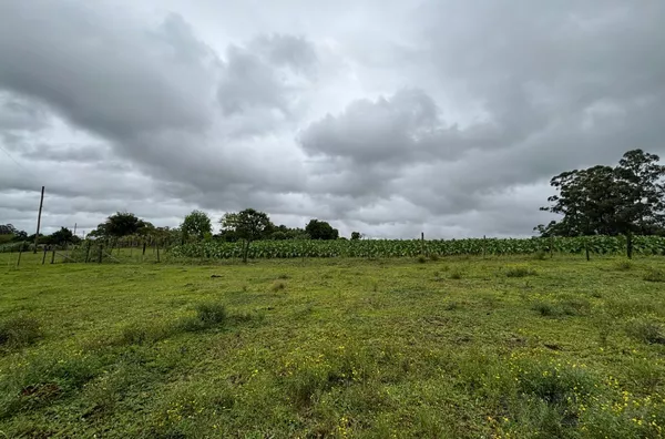 5.000m² DE MUITA DIVERSÃO, TRABALHO E RETORNO FINANCEIRO