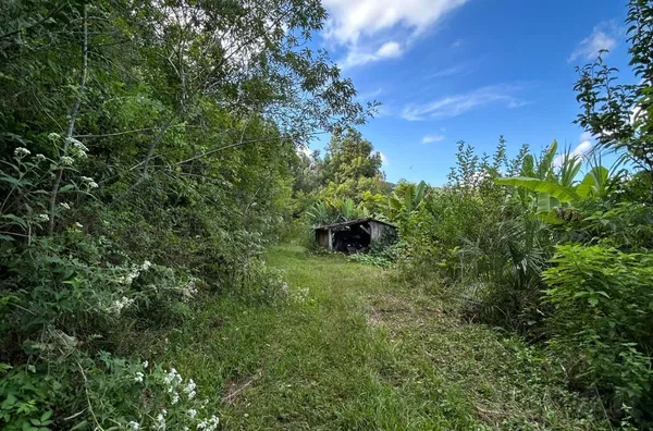 HÁ UMA IMENSIDADE DE DESCOBERTAS NESSES 14ha PARA REALIZAR