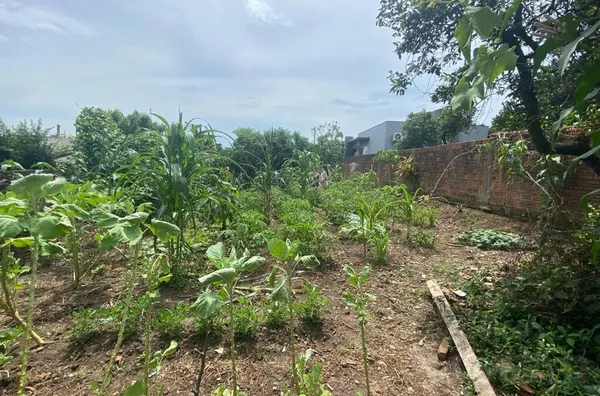 277m² DE MUITO ESPAÇO PARA SUA FAMÍLIA