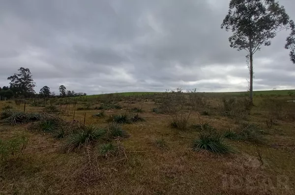 9,6ha DE ÁREA DE TERRA COM 90% SENDO DE PLANTIO