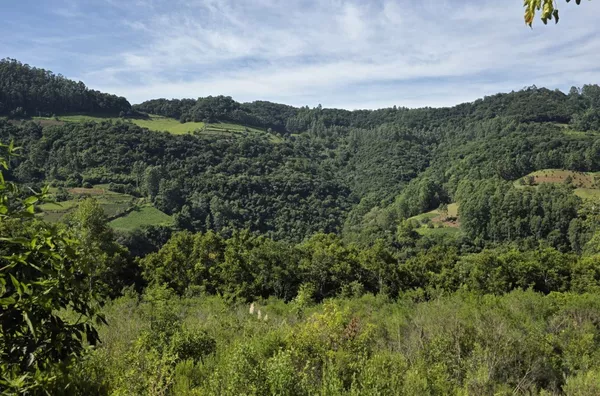 RESPIRE FUNDO E DEIXA A NATUREZA CURAR VOCÊ!
