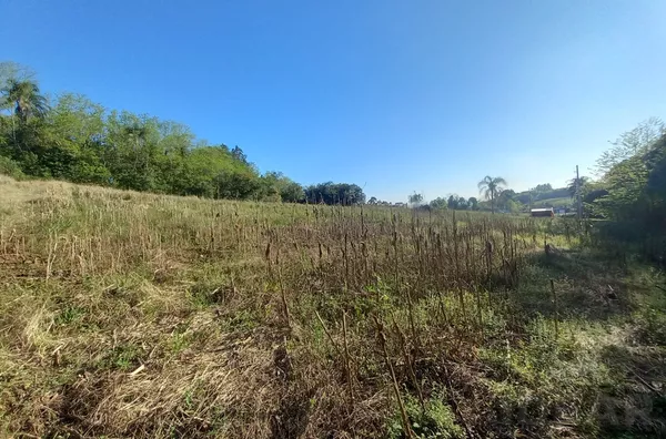 CHÁCARA COM 95% PARA PLANTIO. APOSTE NO FUTURO