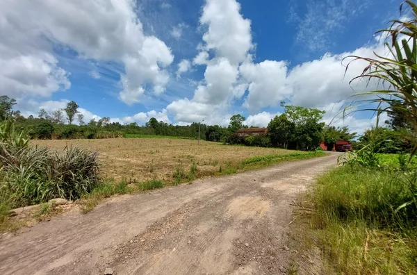 85% DE ÁREA DE PLANTIO E 2 AÇUDES COM ESTRUTURA PARA SETOR DA FUMICULTURA