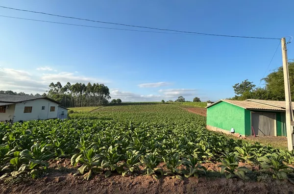 BUSCA IMÓVEL RENTÁVEL? COM 90% DE ÁREA PARA PLANTIO