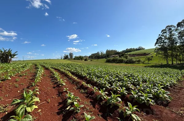 MINI-CHÁCARA EM ÓTIMA LOCALIZAÇÃO E CONFORTO PARA A FAMÍLIA