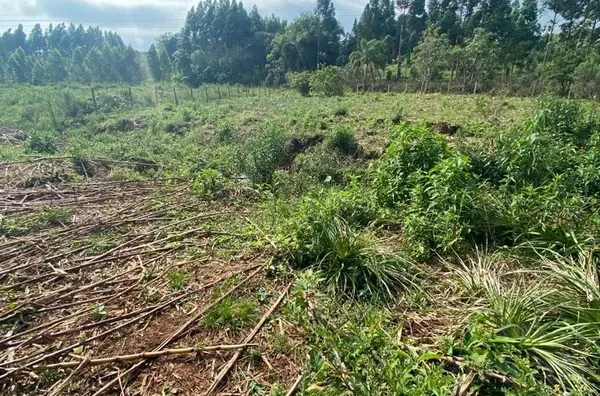 ÁREA DE TERRA DE 3.000m² COM UM BELO AÇUDE. O NOVO PARAÍSO DA FAMÍLIA