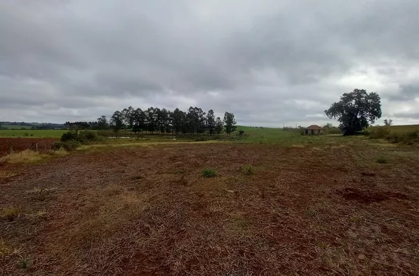 9,6ha DE ÁREA DE TERRA COM 90% SENDO DE PLANTIO