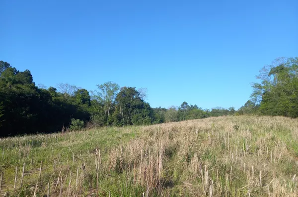 CHÁCARA COM 95% PARA PLANTIO. APOSTE NO FUTURO