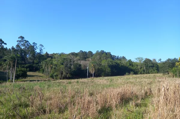 CHÁCARA COM 95% PARA PLANTIO. APOSTE NO FUTURO