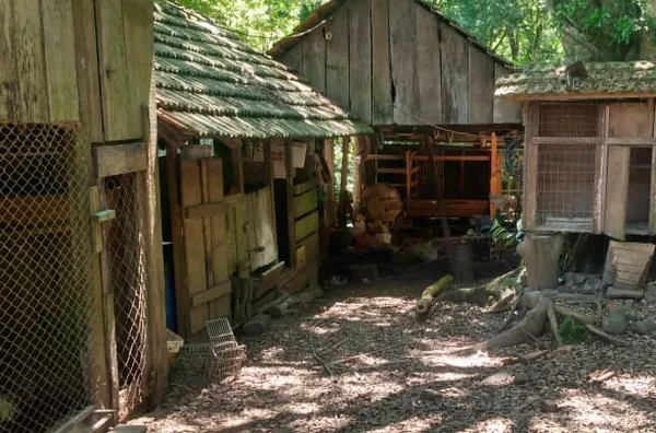 MUITA ÁREA VERDE, COM CÓRREGO E EXCELENTE ÁREA DE LAZER