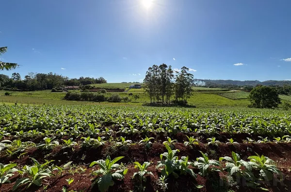 MINI-CHÁCARA EM ÓTIMA LOCALIZAÇÃO E CONFORTO PARA A FAMÍLIA