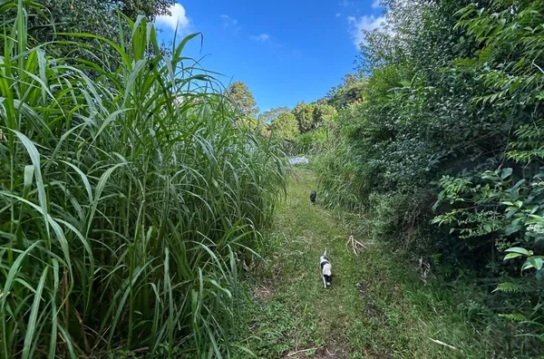 HÁ UMA IMENSIDADE DE DESCOBERTAS NESSES 14ha PARA REALIZAR