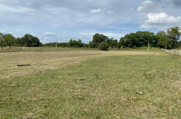 ÁREA DE TERRA MUITO BOA PARA O CULTIVO DO ARROZ