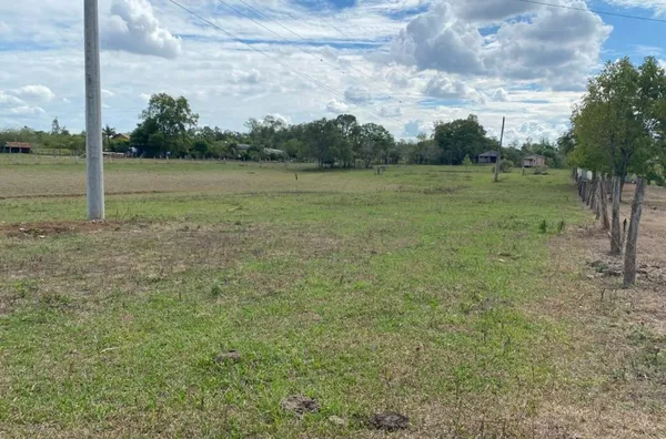 ÁREA DE TERRA MUITO BOA PARA O CULTIVO DO ARROZ