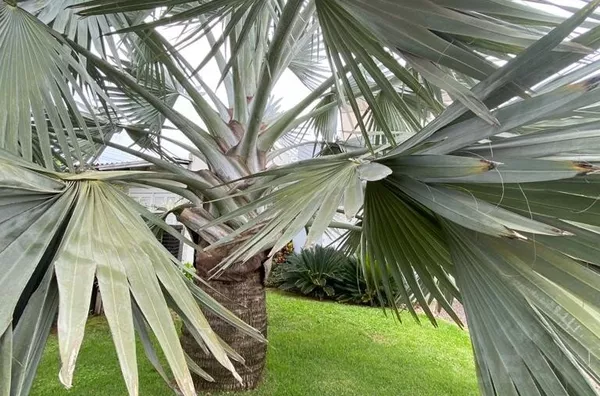 PRATICIDADE E ACONCHEGO FAZEM PARTE DESSE INVESTIMENTO