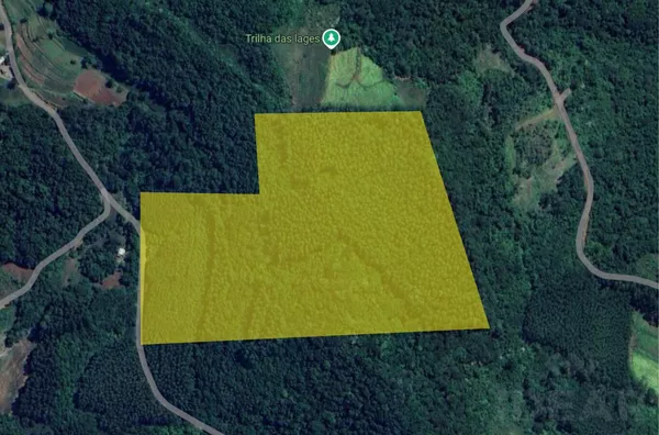 ÁREA DE TERRA COM 75% DE CAPACIDADE PRODUTIVA PRA REFLORESTAMENTO