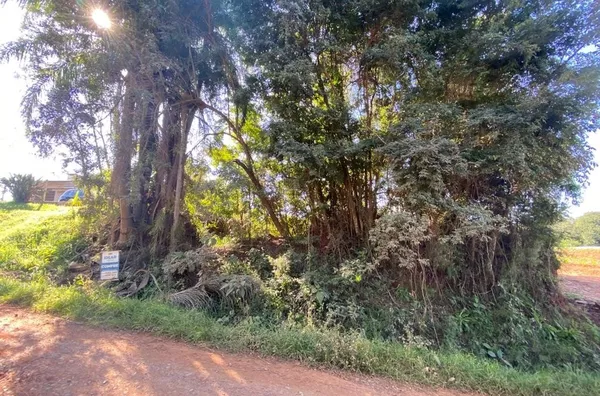 LAZER OU CRIAR E PLANTAR, ESSA CHÁCARA PODE SER SUA