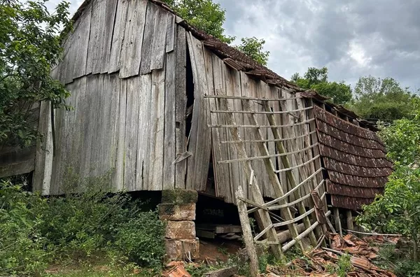 MUITA ÁREA VERDE PARA A TRANQUILIDADE DE TODA A FAMÍLIA