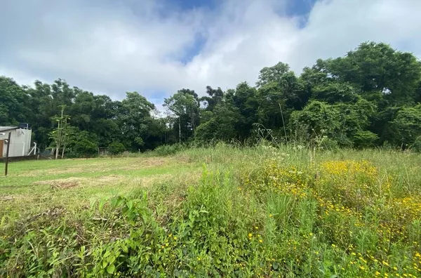 INVESTIMENTO COM EXCELENTE RETORNO PARA SUA FAMÍLIA