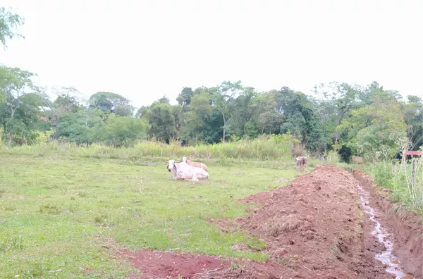 EXCELENTE ÁREA PARA PLANTIO OU TRANSFORMAR EM ÁREA DE LAZER PARA SEUS FAMILIARES