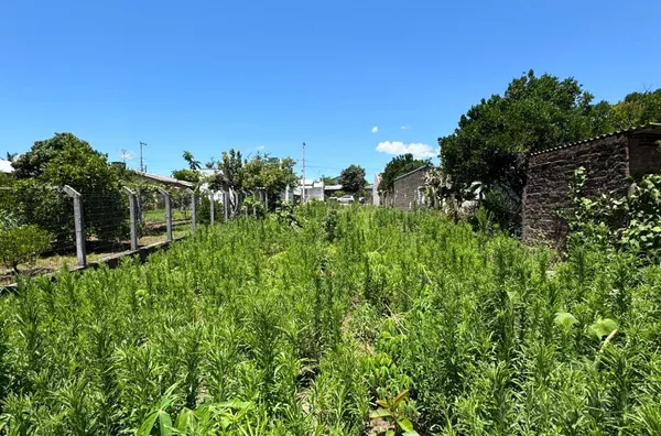 SUA RESIDÊNCIA NESSE GRANDE TERRENO BEM LOCALIZADO NA MORSCH