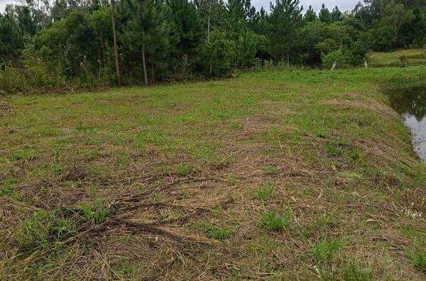 TROQUE O BARULHO DA CIDADE PELO CANTO DOS PÁSSAROS