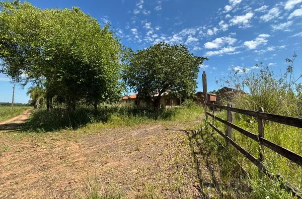 CHÁCARA COM BOA COBERTURA DE ÁREA VERDE E ESPAÇO PARA PLANTIO