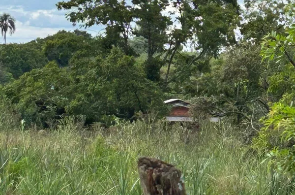 TROQUE O BARULHO DA CIDADE PELA PAZ DA NATUREZA