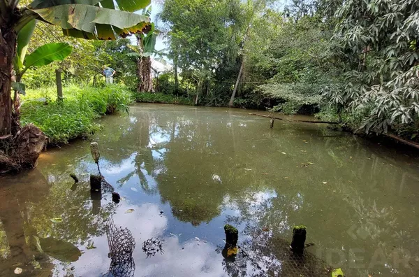 ÁREA DE LAZER COM MUITO VERDE, 2 AÇUDES E CHALÉ