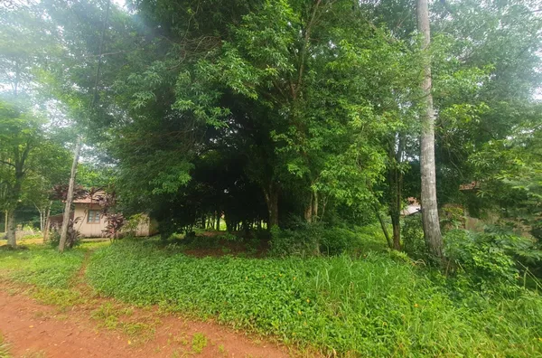 EXCELENTE LOCALIZAÇÃO EM REGIÃO DE MUITA TRANQUILIDADE