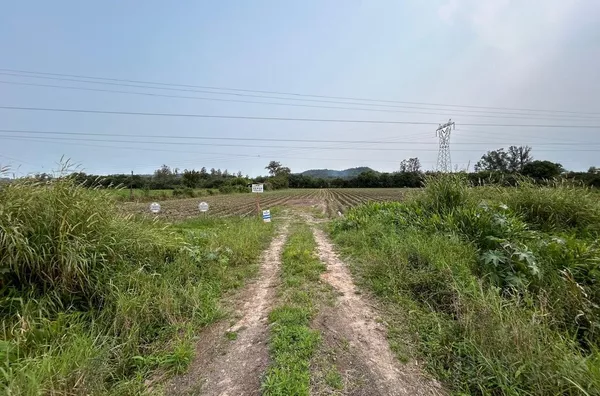 100m DE FRENTE PARA O ASFALTO QUE SERÁ FUTURAMENTE DUPLICADO