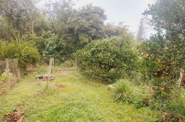 O SEU PRAZER EM MORAR NO CAMPO, RODEADO DE MUITO VERDE