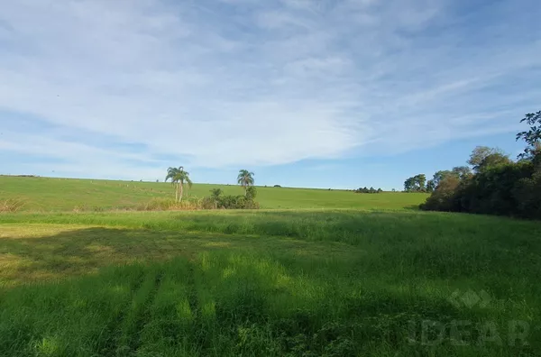 ÁREA DE TERRA COM 75% DE ÁREA PARA PLANTAR! VENHA CONHECER!