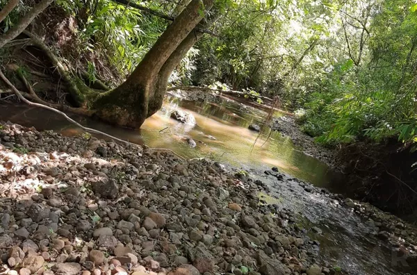 4,5ha COM ESPAÇO PARA LAZER E INVESTIMENTOS EM CABANAS