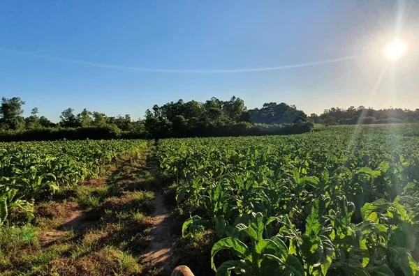 MUITO ESPAÇO PARA VOCÊ E SUA FAMÍLIA, NESSA BELA ÁREA PARA SEU LAZER