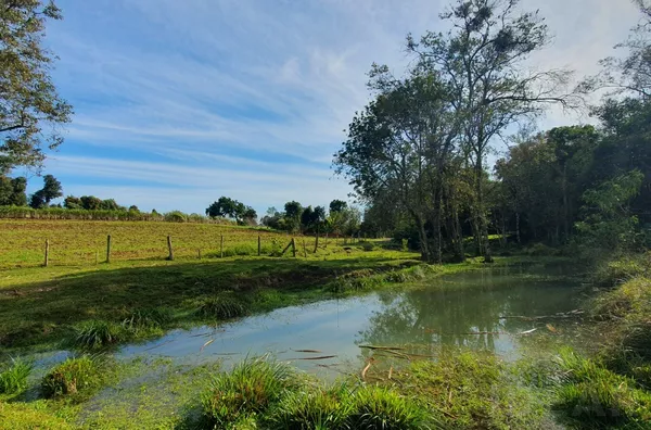 ÁREA DE TERRA COM 75% DE ÁREA PARA PLANTAR! VENHA CONHECER!