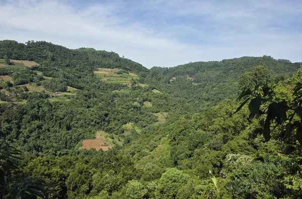 RESPIRE FUNDO E DEIXA A NATUREZA CURAR VOCÊ!