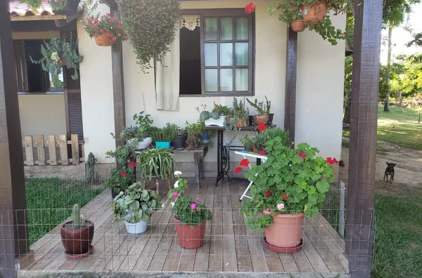 Chácara pronta para moradia, produção de fumo e estufa de morangos