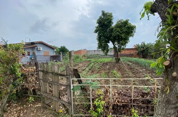 INVESTIMENTO COM EXCELENTE RETORNO PARA SUA FAMÍLIA