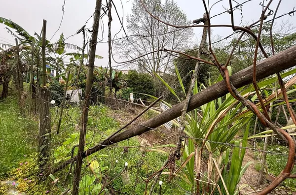 TERRENO DE ESQUINA AGUARDANDO SEU FUTURO EMPREENDIMENTO