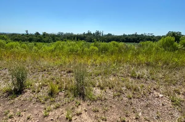 PROCURA TERRENO PARA FAZER SUA MORADIA?